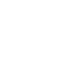 Perfect Moment Ltd. (PMNT) logo