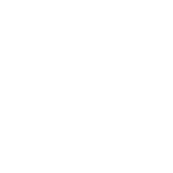 Pinstripes Holdings, Inc. (PNST) logo