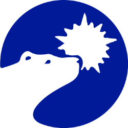 Polar Power, Inc. (POLA) logo