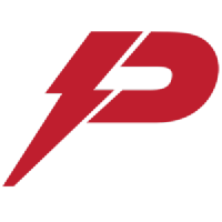 Pioneer Power Solutions, Inc. (PPSI) logo