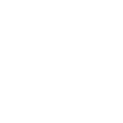 Pioneer Natural Resource Co. (PXD) logo