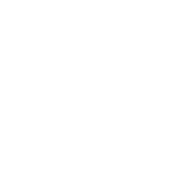 Ferrari N.V. (RACE) logo