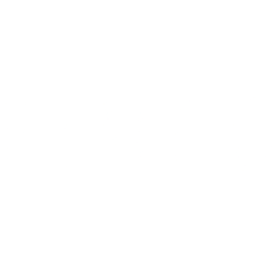 PIMCO STRATEGIC INCOME FUND, INC. (RCS) logo