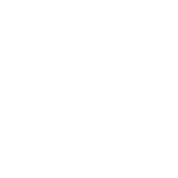 Lordstown Motors Corp. (RIDE) logo
