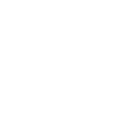 RLX Technology Inc. American Depositary Shares, each representing the right to receive one (1) (RLX) logo