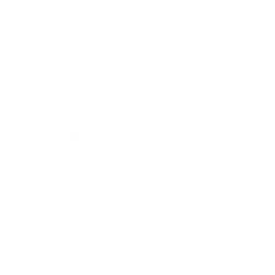 RiskOn International, Inc. (ROI) logo