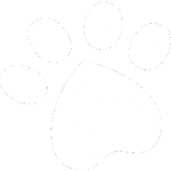 Rover Group, Inc. (ROVR) logo