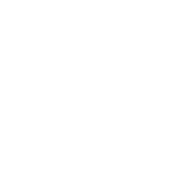 RYCEY logo