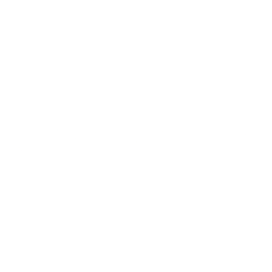 Stardust Power Inc. (SDST) logo
