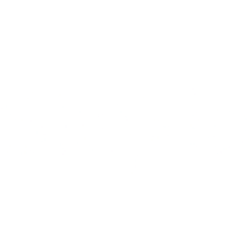 Silexion Therapeutics Corp (SLXN) logo