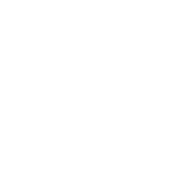 Sanara MedTech Inc. (SMTI) logo