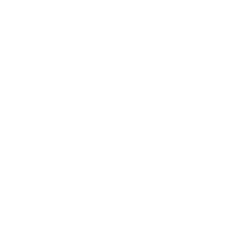 Sleep Number Corporation (SNBR) logo