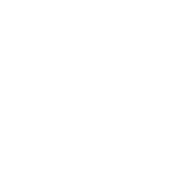 Splunk Inc (SPLK) logo