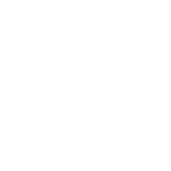 ScanTech AI Systems Inc. (STAI) logo