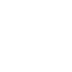 Solidion Technology, Inc. (STI) logo