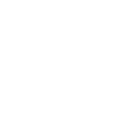 Stellantis N.V. (STLA) logo