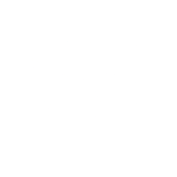 STMicroelectronics N.V. (STM) logo