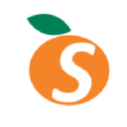 STSA logo