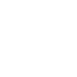 Solowin Holdings (SWIN) logo