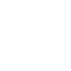 Skyworks Solutions Inc (SWKS) logo