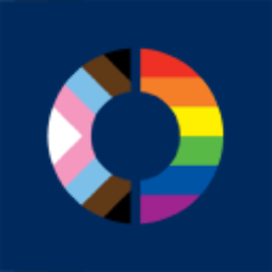 Total Return Securities Fund (SWZ) logo