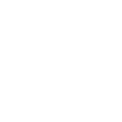 Truist Financial Corporation (TFC) logo