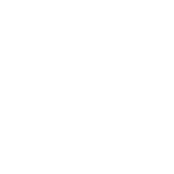 Tiga Acquisition Corp. (TINV) logo