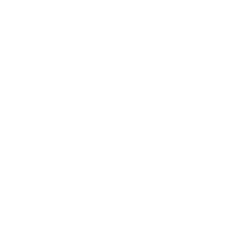 Twin Hospitality Group Inc. Class A Common Stock When-Issued (TWNPV) logo