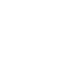 UNITEDHEALTH GROUP INCORPORATED (Delaware) (UNH) logo