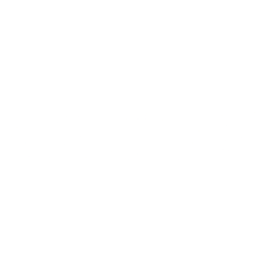 Twin Vee PowerCats Co. (VEEE) logo