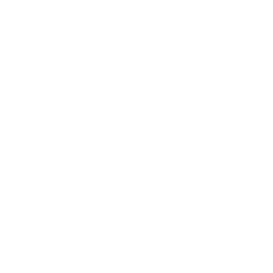 VinFast Auto Ltd. (VFS) logo