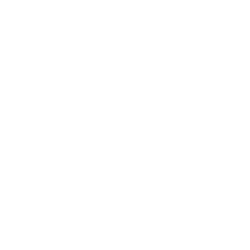 Fresh Vine Wine, Inc. (VINE) logo