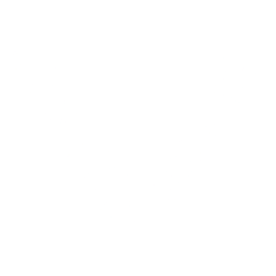 Vince Holding Corp. (VNCE) logo