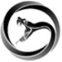 Viper Energy, Inc. (VNOM) logo