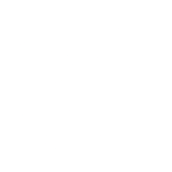 ANEW MEDICAL, INC. (WENA) logo