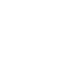 XPeng Inc. American depositary shares, each representing two (XPEV) logo