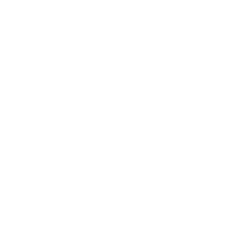 Zumiez Inc. (ZUMZ) logo