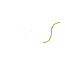ZyVersa Therapeutics, Inc. (ZVSA) logo